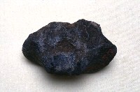 藏品(樞椎一塊)的圖片